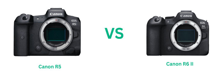 Canon R5 Vs R6 Mark II